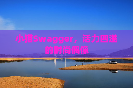 小猫Swagger,活力四溢的时尚偶像 小猫Swagger,活力四溢的时尚偶像