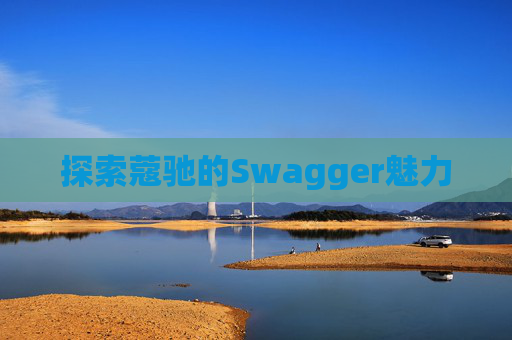 探索蔻驰的Swagger魅力