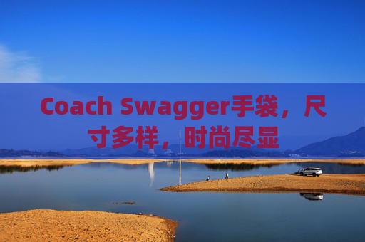 Coach Swagger手袋，尺寸多样，时尚尽显