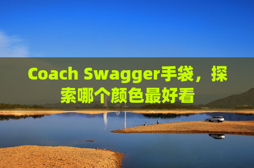 Coach Swagger手袋，探索哪个颜色最好看
