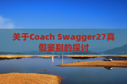 关于Coach Swagger27真假鉴别的探讨