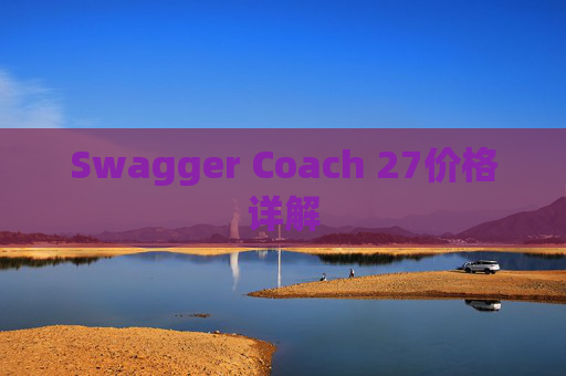 Swagger Coach 27价格详解