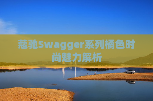 蔻驰Swagger系列橘色时尚魅力解析